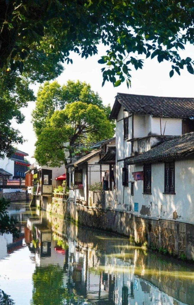 紫燕百味鸡冷吃千层肚备受欢迎,有望成为第二道“夫妻肺片”